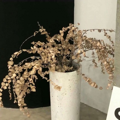 江城福瑞交流群